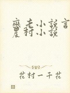 恋老小说言情网农村小说