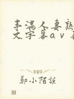 丰满人妻熟女中文字幕aⅴ在线封面