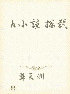 h小说 总裁封面