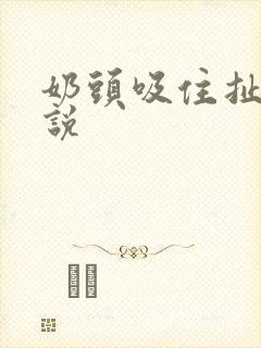 奶头吸住扯长小说封面