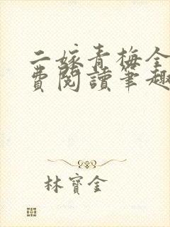 二嫁青梅全文免费阅读笔趣阁