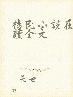 杨民小说在线阅读全文封面