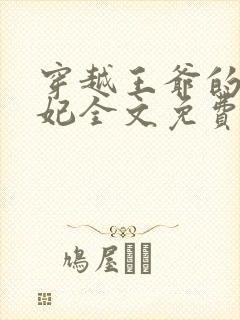 穿越王爷的下堂妃全文免费阅读