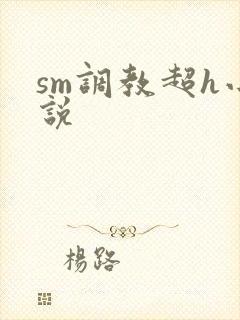 sm调教超h小说