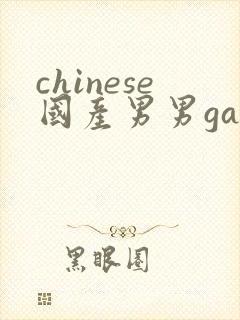 chinese国产男男gaygay网站