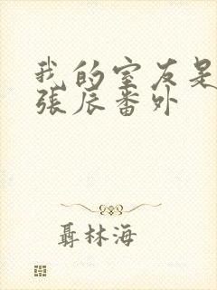 我的室友是直男张辰番外