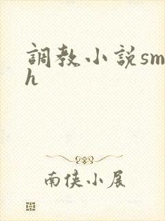 调教小说sm高h封面