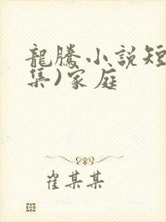 龙腾小说短篇合集)家庭