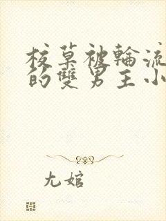 校草被轮流欺负的双男主小说推荐封面