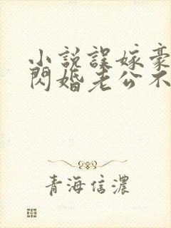 小说误嫁豪门,闪婚老公不见面免费阅读封面