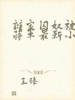 谁家囚奴被疯批蒋军最新小说免费阅读