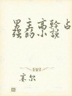 男主高干占有欲强的小说封面