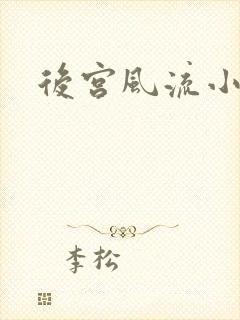 后宫风流小说