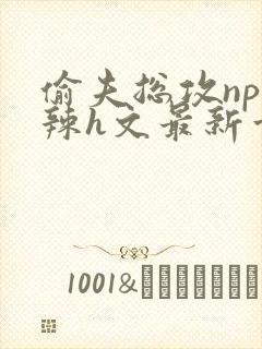 偷夫总攻np高辣h文最新章节内容