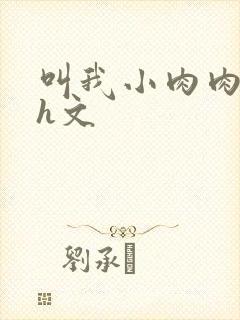 叫我小肉肉的高h文封面