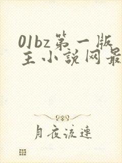 01bz第一版主小说网最新