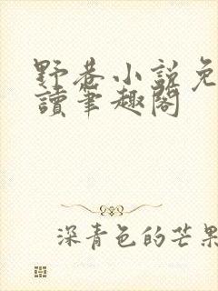 野巷小说免费阅读笔趣阁