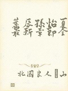 叶辰孙怡夏若雪最新章节全文封面