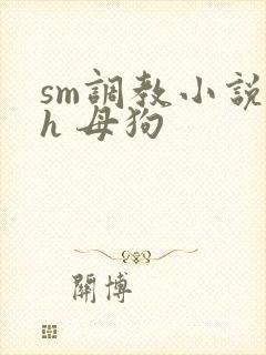 sm调教小说高h 母狗