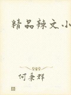 精品辣文小说网封面