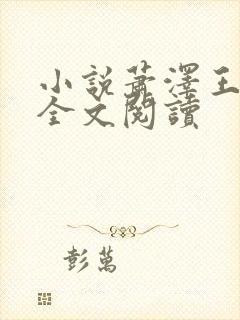 小说萧泽王雪凤全文阅读