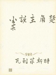 小说主角楚枫苏柔