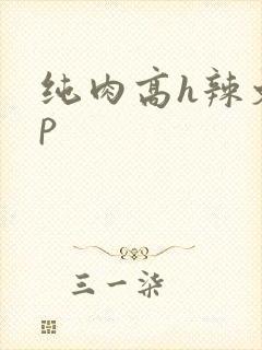 纯肉高h辣文np