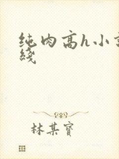 纯肉高h小说在线