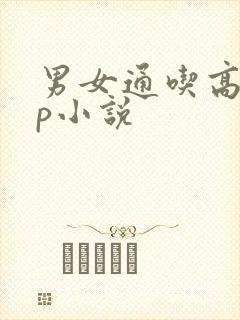 男女通吃高hnp小说