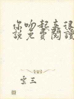 你吻起来很甜小说免费阅读封面