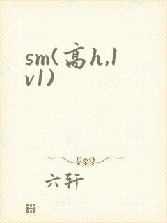 sm(高h,1v1)