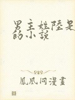 男主姓陆是军人的小说