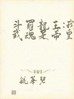 斗罗龙王:我的武魂是帝皇铠甲