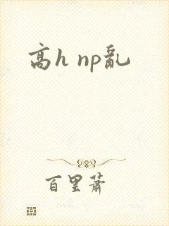 高h np乱