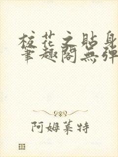 校花之贴身高手笔趣阁无弹窗