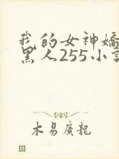 我的女神娇妻与黑人255小说