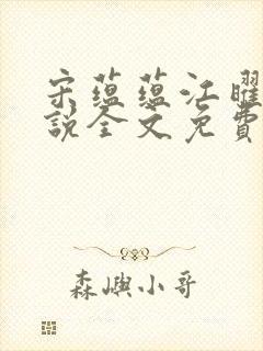 宋蕴蕴江曜景小说全文免费阅读封面