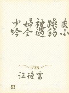 少妇被躁爽到呻吟全过的小说