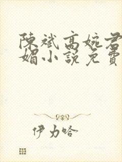 陈斌高婉君赵心媚小说免费阅读封面