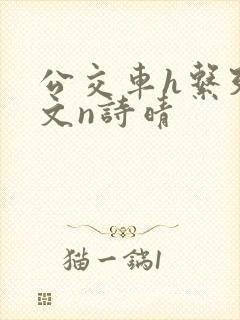 公交车h系列辣文n诗晴