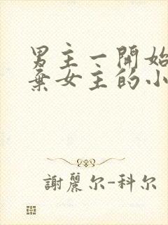 男主一开始很嫌弃女主的小说