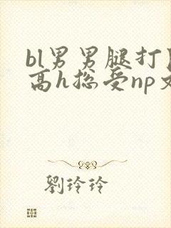 bl男男腿打开高h总受np文