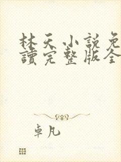 林天小说免费阅读完整版全文封面