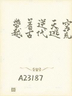 带着逆天空间穿越古代逃荒