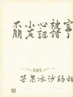 不小心被室友男朋友认错了宁笑阿温作者