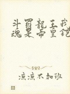 斗罗龙王我的武魂是帝皇铠甲封面