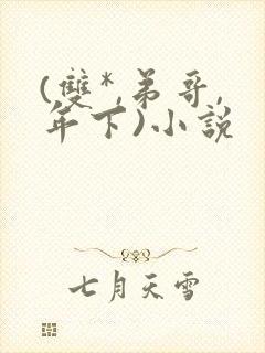 (双*,弟哥,年下)小说封面