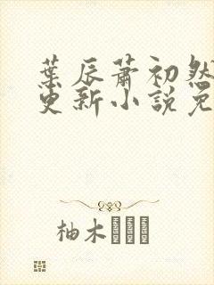 叶辰萧初然最新更新小说免费阅读