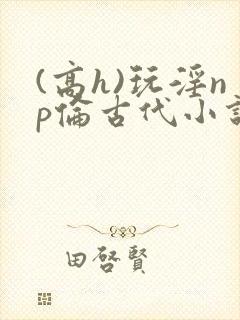 (高h)玩淫np伦古代小说