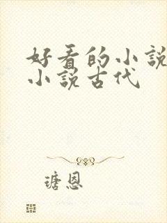 好看的小说言情小说古代